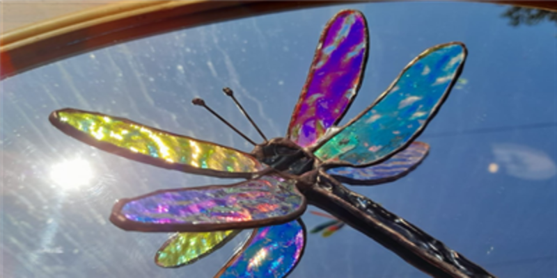 Dichroic dragonfly 2